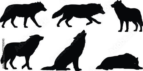 Wolf silhouette collection, six wild animal poses, standing, walking, sitting, lying down, howling, alert posture, wildlife predator vector, cad drawing flat vector illustration