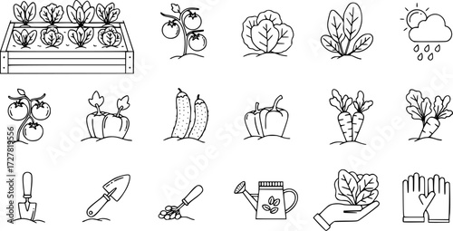 Set of salad table garden outline vector icons