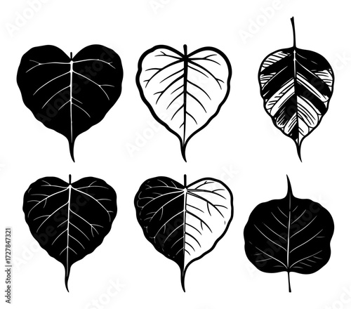Set of Sacred Bodhi or Peepal Tree Leaves