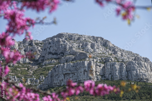 Tableau sur toile Mont Puget in Marseille -  top of Calanques