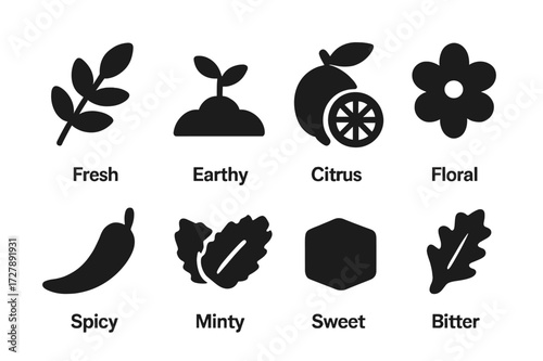 Herb Scent Icons. Solid, filled icon set of herb scents and flavors: fresh, earthy, citrus, floral, spicy, minty, sweet, bitter. Solid, filled icons in only