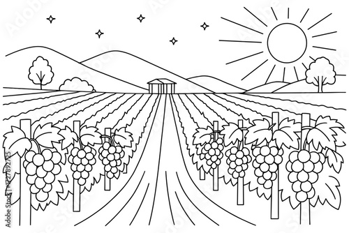 vineyard landscape coloring page , rows of grapes on sunny hills