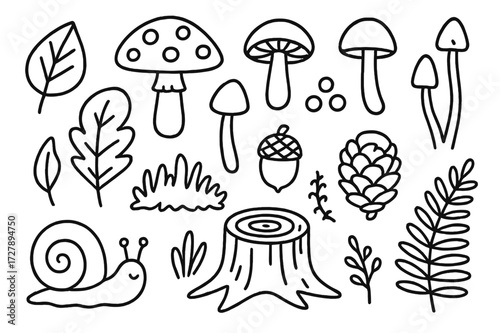Fungi Forest Doodles. Hand-drawn doodle illustration Fungi collection, mushroom, toadstool, spore, cap, stem, gills, forest leaf, acorn, pine cone, snail,