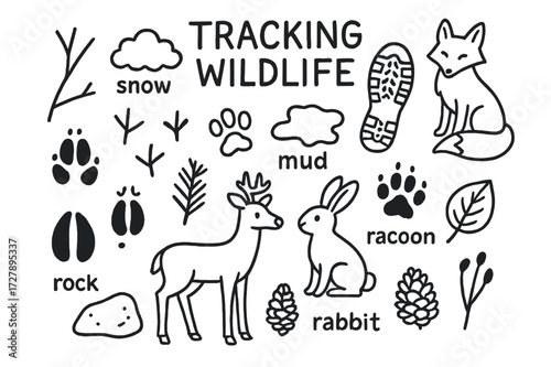 Wildlife Tracking Doodles. Hand-drawn doodle illustration Tracking wildlife in nature, paw prints, hoof prints, bird tracks, snow, mud, boot print, fox, deer,