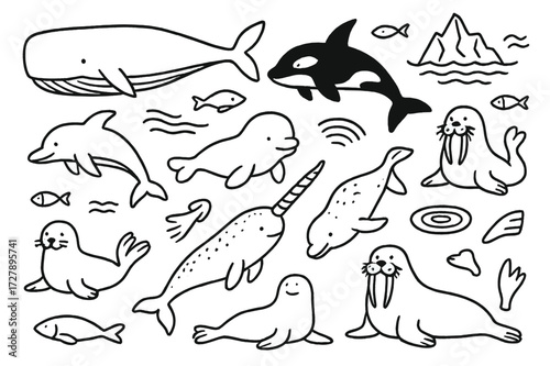 Marine Mammal Doodles. Hand-drawn doodle illustration [marine mammals] [blue whale, orca, dolphin, narwhal, beluga, walrus, seal, sea lion, iceberg, fish,