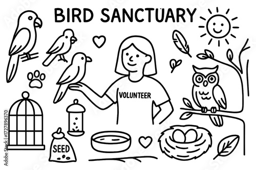 Bird Sanctuary Doodles. Hand-drawn doodle illustration bird sanctuary interaction bird, parrot, owl, cage, feeder, tree branch, volunteer, seed bag, water