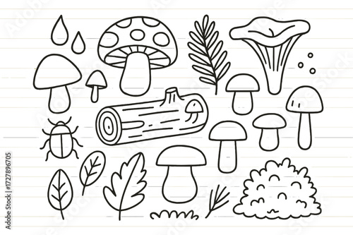Forest Fungi Doodles. Hand-drawn doodle illustration [Forest fungi variety] [mushroom, toadstool, chanterelle, log, leaf, fern, moss, beetle, bug, raindrop,