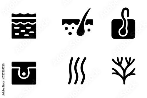 Skin Anatomy Icons. Solid, filled icon set of skin anatomy: epidermis, dermis, hair follicle, sweat gland, pore, collagen fibers, blood vessels, nerve endings.
