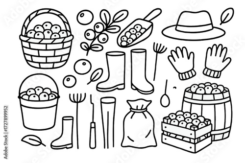Cranberry Harvest Doodles. Hand-drawn doodle illustration Cranberry harvest basket, scoop, bucket, berries, branch, leaf, rake, boots, hat, gloves, sack,