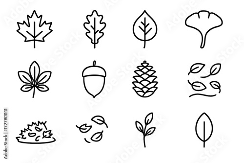 Falling Foliage Icons. Falling foliage. Line icon set of falling foliage: maple leaf, oak leaf, birch leaf, elm leaf, ginkgo leaf, chestnut leaf, acorn, pine