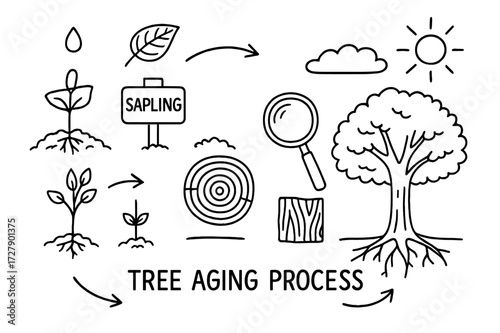 Tree Life Cycle. Hand-drawn doodle illustration [Tree aging process] [young tree, mature tree, seedling, leaf, sapling tag, tree stump, annual rings, soil