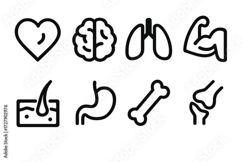 Wellness Body Icons. Solid, filled icon set of wellness body parts: heart, brain, lungs, muscles, skin, stomach, bones, joints. Line icons in only black color.