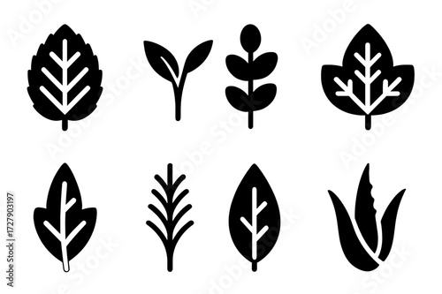 Herbal Leaves Icons. Solid, filled icon set of medicinal and herbal leaves: mint leaf, tea leaf, eucalyptus leaf, basil leaf, sage leaf, rosemary leaf, bay