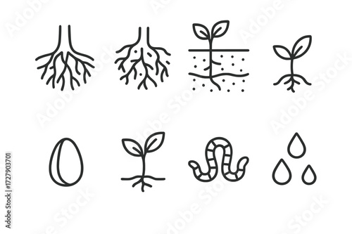 Nature Roots Icon Set. Outline icon set of roots in nature: tree roots, underground network, soil layers, plant stem, seed, sprout, earthworm, water droplets.