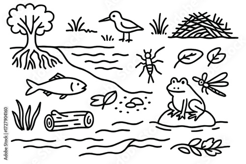 River Ecosystem Doodles. Hand-drawn doodle illustration [river ecosystem] [fish, algae, tree roots, water insect, river rock, leaf, sediment, frog, current