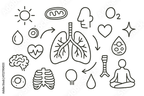 Lungs and Energy Icons. Hand-drawn doodle illustration Breathing and energy lungs, arrows, mitochondria, oxygen molecule, CO2 bubble, heart, droplet, star,