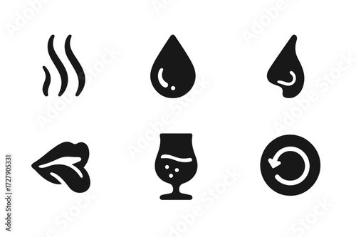 Whiskey Tasting Icons. Solid, filled icon set of whiskey tasting notes symbols: aroma, color drop, taste buds, nose, mouth, finish, aftertaste, swirl. Solid,