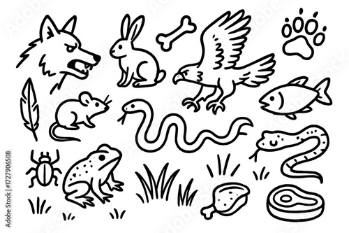 Predator-Prey Doodle Icons. Hand-drawn doodle illustration Predator-prey wolf, rabbit, eagle, fish, mouse, snake, frog, insect, paw print, claw, feather, bone,