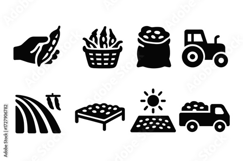 Bean Harvest Icons. Solid, filled icon set of bean pod harvesting: hand picking, basket full of pods, sack of beans, tractor, farm field, drying beans, sun