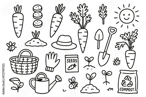 Garden Carrot Doodles. Hand-drawn doodle illustration Carrot vegetable [whole carrot, sliced carrot, carrot with leaves, carrot top, basket, garden soil,