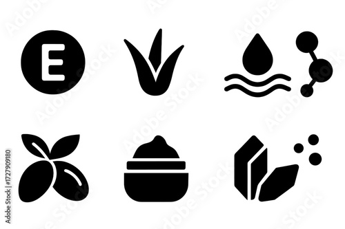 Makeup Ingredient Icons. Solid, filled icon set of makeup ingredients: vitamin E, aloe vera, hyaluronic acid, collagen, argan oil, shea butter, mica, pigment