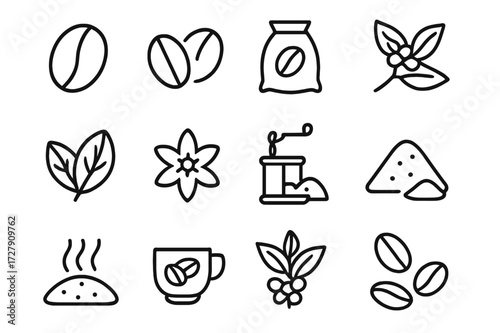 Coffee Icons Set. Coffee beans. Line icon set of coffee beans: coffee bean, roasted beans, coffee sack, coffee branch, coffee leaves, coffee flower, grinding