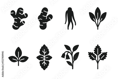 Herbal Remedy Icons. Solid, filled icon set of herbal remedies: ginger root, turmeric, ginseng, sage, basil, lemon balm, comfrey, nettle. Solid, filled icons