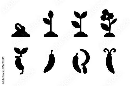 Bean Growth Stages Icons. Solid, filled icon set of bean plant growth stages: seedling, stem growth, leaf development, flowering, pod formation, pod maturity,