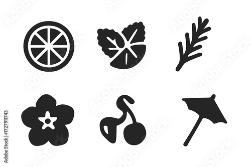 Spritz Garnish Icons. Solid, filled icon set of spritz garnishes: orange wheel, lemon slice, mint sprig, rosemary twig, edible flower, cucumber ribbon, cherry,