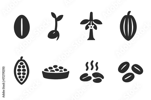 Cocoa Bean Process Icons. Solid, filled icon set of cocoa bean stages: seed, sprout, flowering tree, green pod, ripe pod, harvested beans, drying beans,