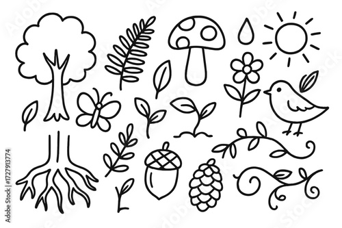 Forest Doodle Icons. Hand-drawn doodle illustration Forest plants [tree, fern, mushroom, flower, leaf, branch, acorn, sprout, pinecone, vine, root, butterfly,