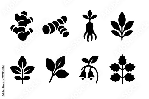 Herbal Remedy Icons. Solid, filled icon set of herbal remedies: ginger root, turmeric, ginseng, sage, basil, lemon balm, comfrey, nettle. Solid, filled icons