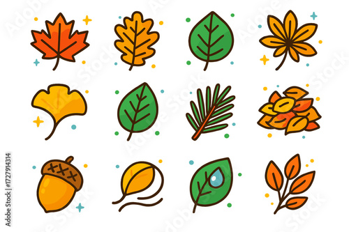 Colorful Leaf Icons. Leaf collection. Colorful isometric vector icons set of Leaf collection: maple leaf, oak leaf, birch leaf, chestnut leaf, ginkgo, elm,