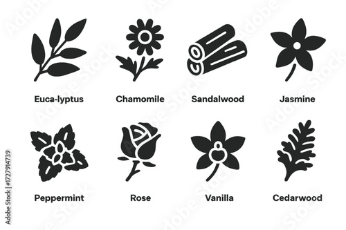 Soothing Scent Icons. Solid, filled icon set of soothing scents: eucalyptus, chamomile, sandalwood, jasmine, peppermint, rose, vanilla, cedarwood. Solid,