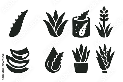 Aloe Vera Icon Set. Solid, filled icon set of aloe vera plants: aloe vera leaf, aloe vera plant, aloe vera gel, aloe vera flower, sliced aloe leaf, aloe sap