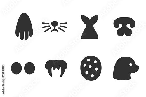 Seal Body Parts Icons. Solid, filled icon set of seal body parts: flipper, whiskers, tail, nose, eyes, teeth, fur pattern, head silhouette. Solid, filled icons