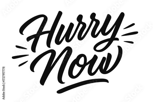 Dynamic Script Lettering. Hurry Now ? Script Hand-Lettering, brush script with fluid sweeping strokes, semi-cursive connections, slanted composition; black