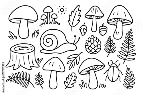 Mushroom Forest Doodles. Hand-drawn doodle illustration Wild mushrooms, mushroom, toadstool, spore, cap, stem, gills, forest leaf, acorn, pine cone, snail,