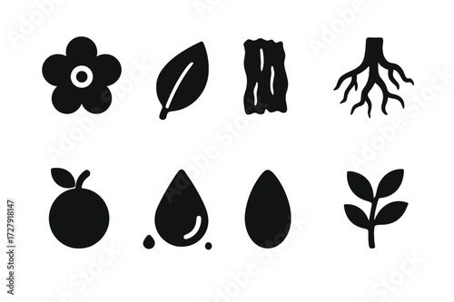 Aroma Source Icons. Solid, filled icon set of aroma natural sources: flower, leaf, bark, root, fruit, resin, seed, herb. Solid, filled icons in only black