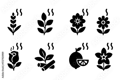 Spa Scents Icons. Solid, filled icon set of spa scents: lavender, eucalyptus, peppermint, chamomile, rose, sandalwood, lemon, jasmine. Solid, filled icons in
