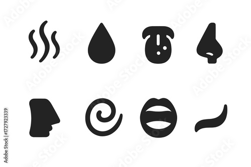 Whiskey Tasting Icons. Solid, filled icon set of whiskey tasting notes symbols: aroma, color drop, taste buds, nose, mouth, finish, aftertaste, swirl. Solid,