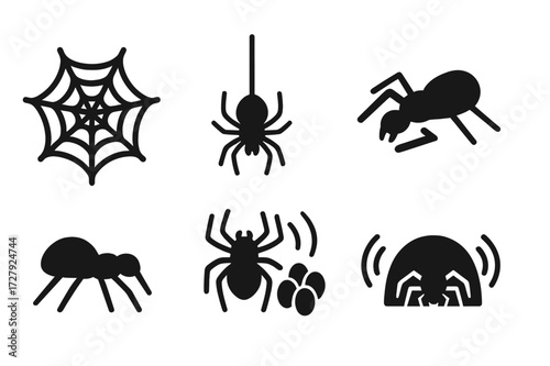 Spider Behavior Icons. Solid, filled icon set of spider behavior: spinning web, hanging down, pouncing, crawling, molting, egg-laying, hiding, web vibrating.
