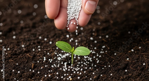 Hand sprinkles fertilizer onto young plant seedling for healthy growth and vitality in soil
