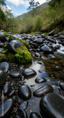Stream flowing over rounded black stones covered in moss