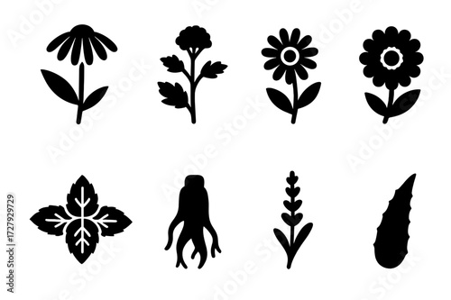Medicinal Plants Icons. Solid, filled icon set of medicinal plants: echinacea flower, valerian root, chamomile flower, calendula blossom, mint leaves, ginseng