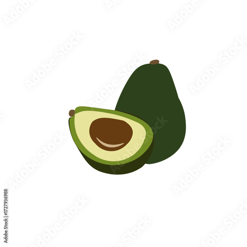 Avocado Vector