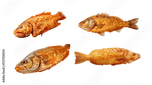 fried sea fish