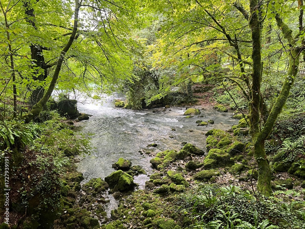Obraz premium The source of the Ljubljanica river or the sources of the Ljubljanica, Slovenia - Die Quelle des Flusses Ljubljanica oder die Quellen der Ljubljanica, Slowenien - Izviri Ljubljanice, Slovenija