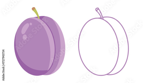 Purple plum fruit illustration and outline on white background vector