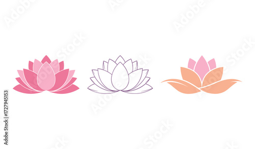 Three lotus flowers in pink purple and orange on white background water lily floral